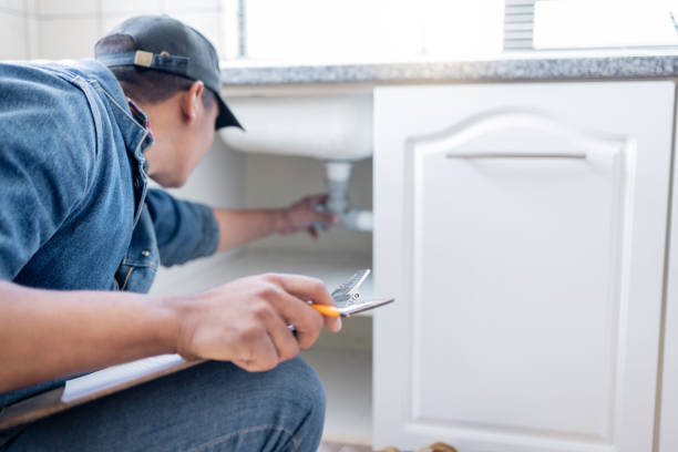 Best Local Plumber Services  in Braham, MN